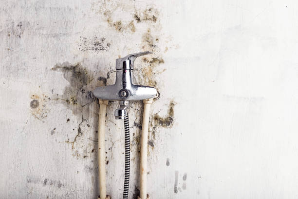 Best Commercial Mold Removal  in Santa Nella, CA