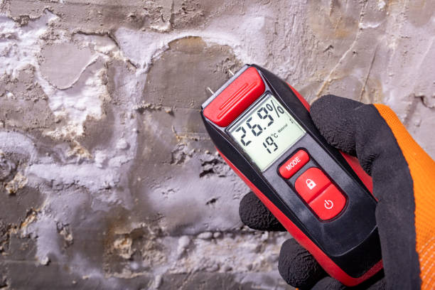 Best Toxic Mold Removal  in Santa Nella, CA