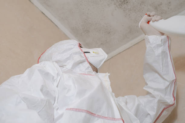Best Crawl Space Mold Removal  in Santa Nella, CA